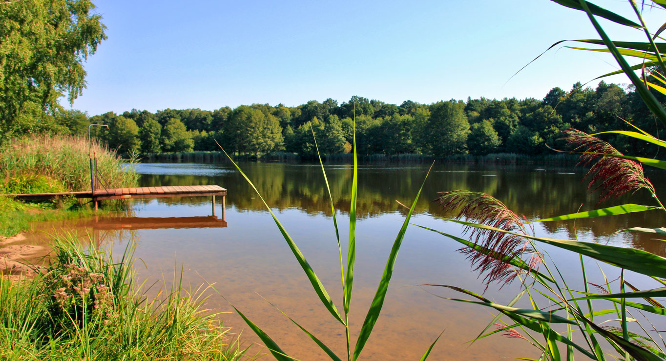 Aktive Erlebnisse im Naturpark Dübener Heide - Naturpark Dübener Heide